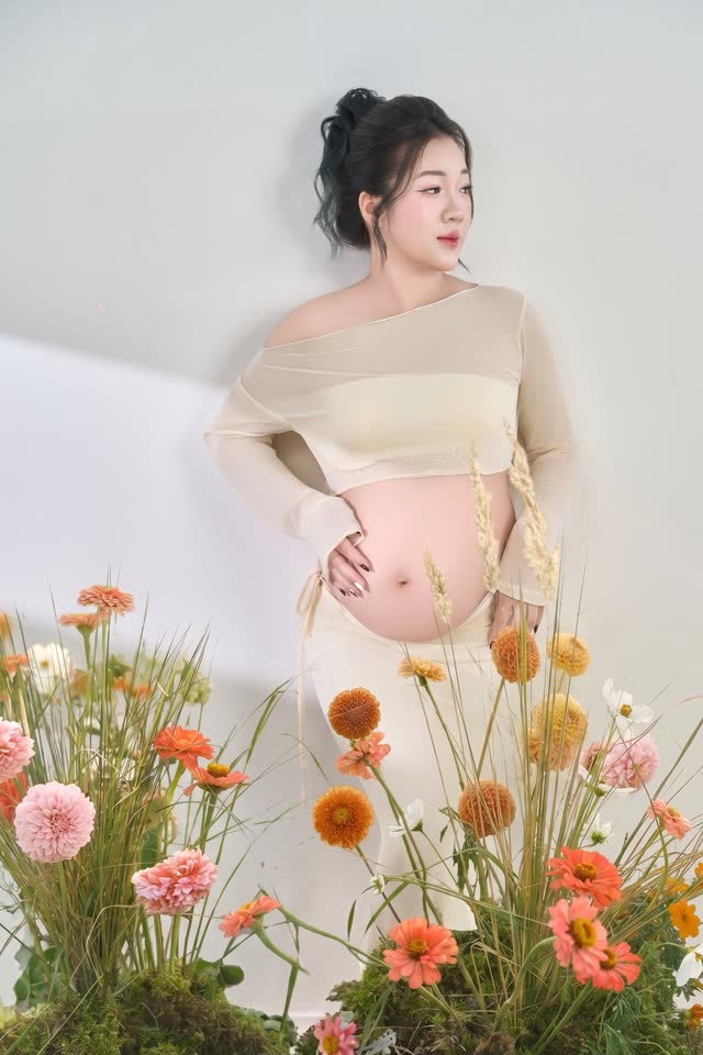 Concept vườn hoa cúc